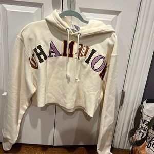 Champion cropped hoodie.
